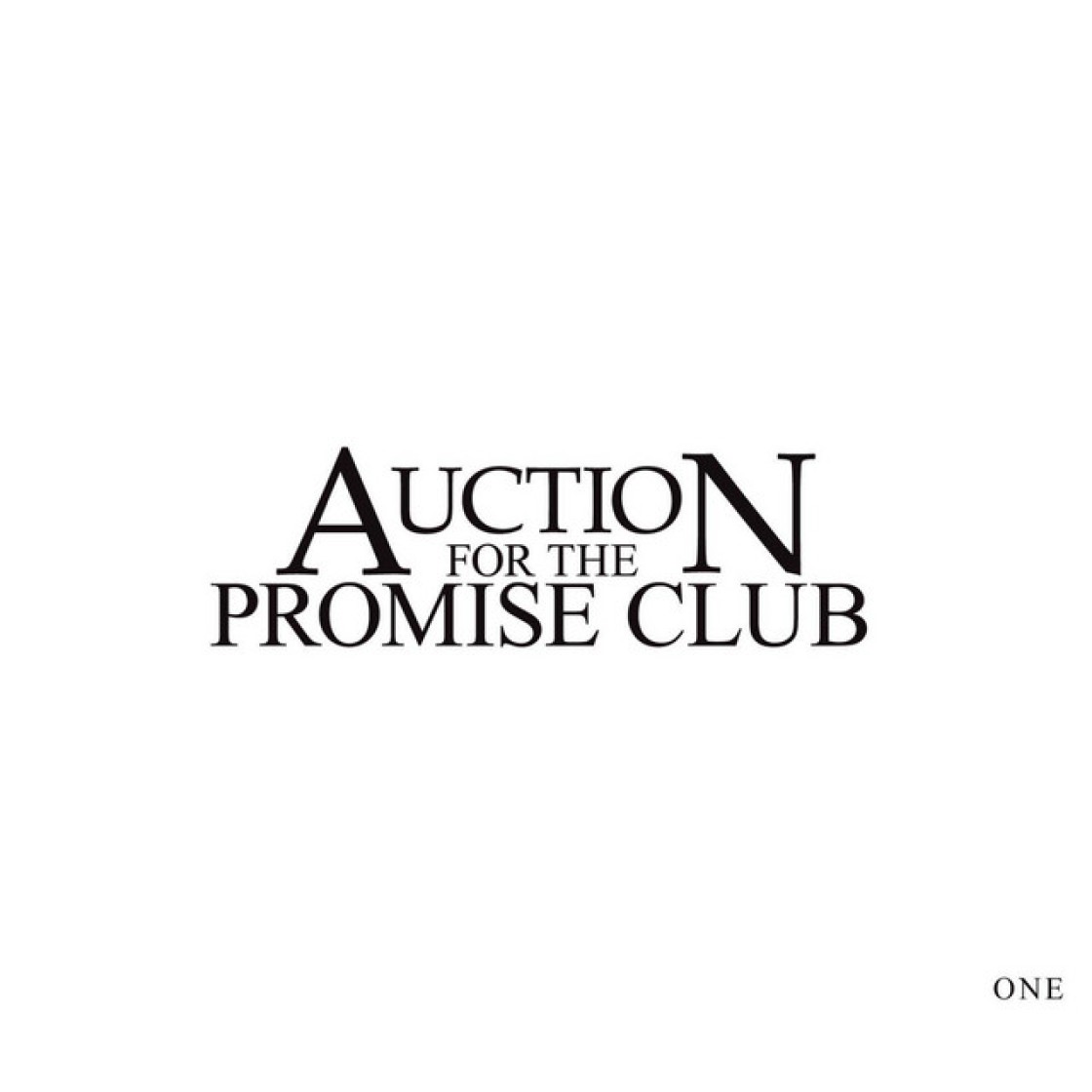 Auction for the Promise Club