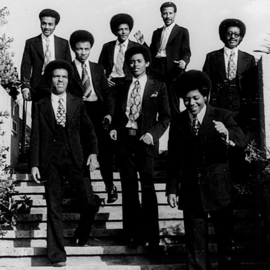 Wallias Band