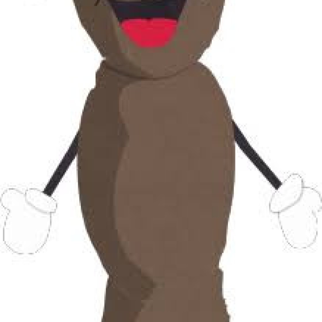 Mr. Hankey Poo