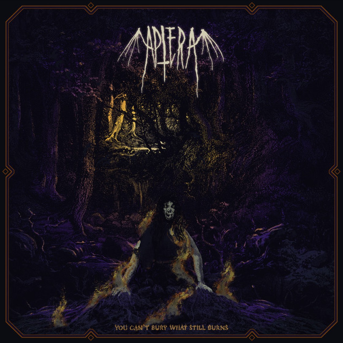 Aptera