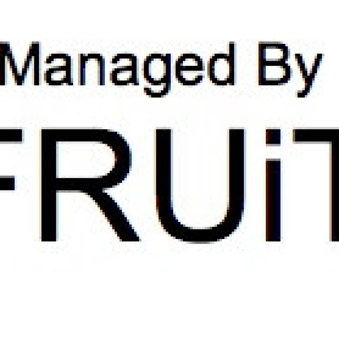 Fruit