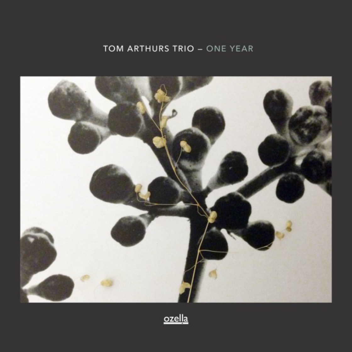 Tom Arthurs Trio