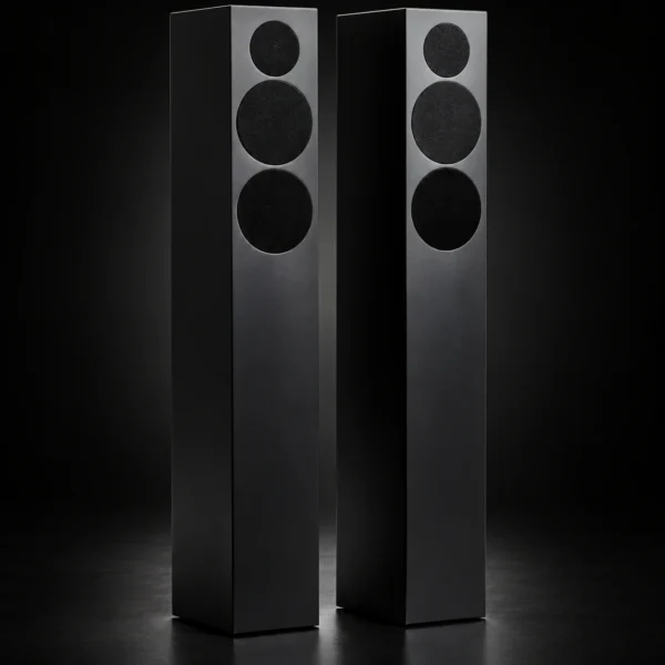 Акустична система Tone Factory Speaker L, чорна