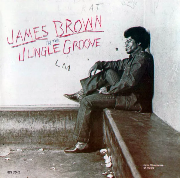In The Jungle Groove