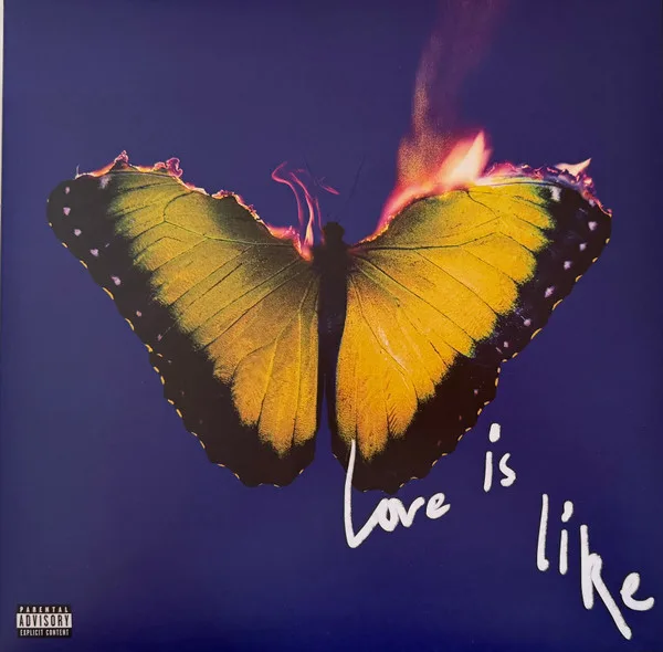 Love Is Like
