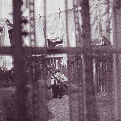 Chaos And Creation In The Backyard