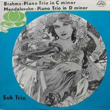 Piano Trio In C Minor / Piano Trio In D Minor
