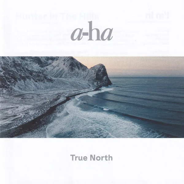 True North