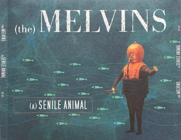 (A) Senile Animal