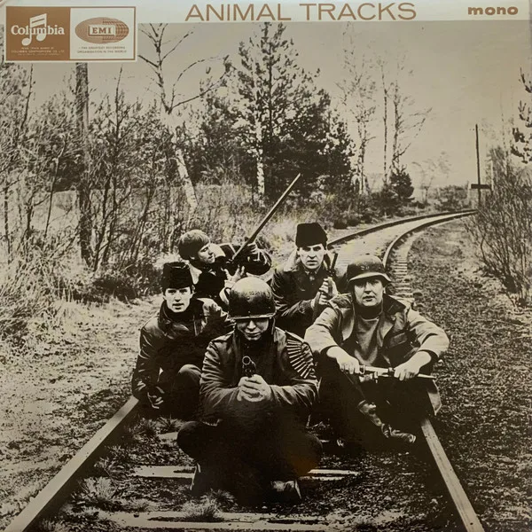 Animal Tracks