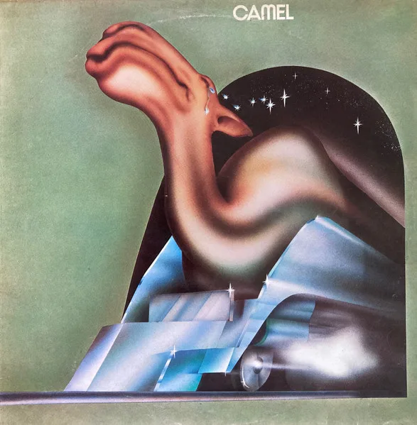 Camel