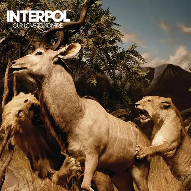 Interpol – Our Love To Admire (2LP, Reissue Vinyl) - фото №1