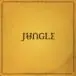 Jungle – For Ever (LP, Album) - фото №1