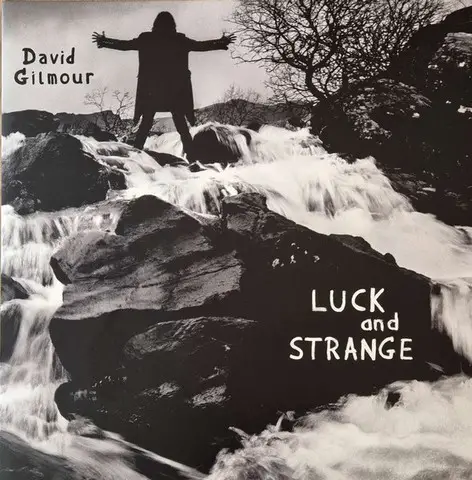 David Gilmour – Luck And Strange (LP, Album, Stereo, Vinyl) - фото №1