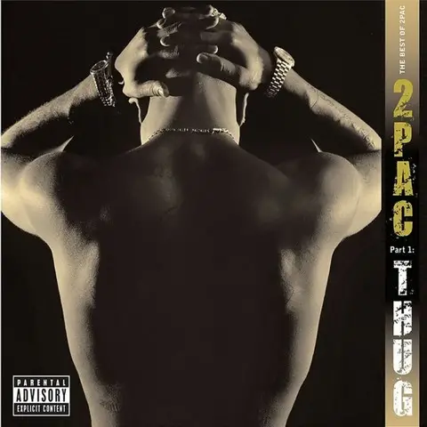 2Pac – The Best Of 2Pac - Part 1: Thug (2LP, Compilation, Vinyl) - фото №1