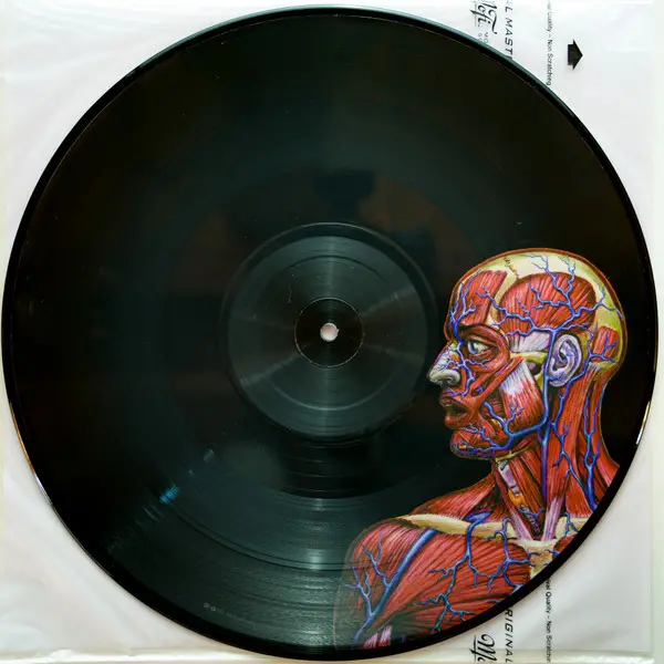 Tool – Lateralus (Limited Edition, Picture Disc, Reissue) - фото №3