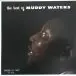 Muddy Waters – The Best Of Muddy Waters (LP, Compilation, Reissue, Mono, 180 Gram, Vinyl) - фото №1