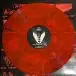 Papa Roach – The Best Of Papa Roach: To Be Loved (2LP, Compilation, Limited Edition, Red Splatter Vinyl) - фото №2