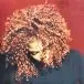 Janet Jackson – The Velvet Rope (2LP, Albuml) - фото №1