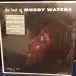 Muddy Waters – The Best Of Muddy Waters (LP, Compilation, Reissue, Mono, 180 Gram, Vinyl) - фото №4