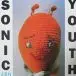 Sonic Youth – Dirty (2LP, Misprint, Reissue, Remastered, 180 grams) - фото №1