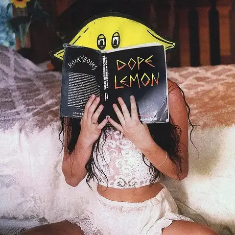 Dope Lemon – Honey Bones (2LP, 45 RPM, Album, Reissue, Translucent Yellow Vinyl) - фото №1