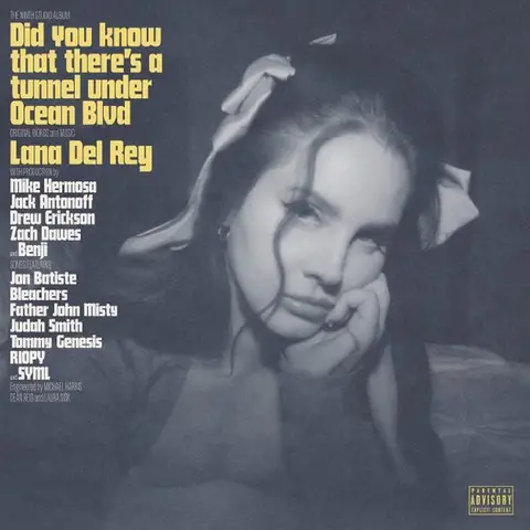 Lana Del Rey – Did You Know That There's A Tunnel Under Ocean Blvd (2LP, Stereo Vinyl)