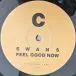 Swans – Feel Good Now (2LP) - фото №5