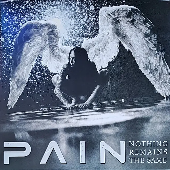 Pain – Nothing Remains The Same - фото №1