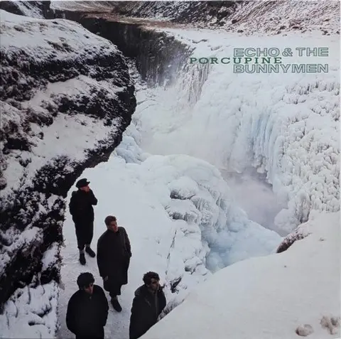 Echo & The Bunnymen – Porcupine (LP, Album, Vinyl) - фото №1