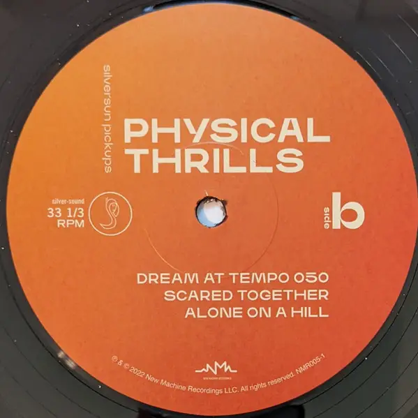 Silversun Pickups – Physical Thrills - фото №2