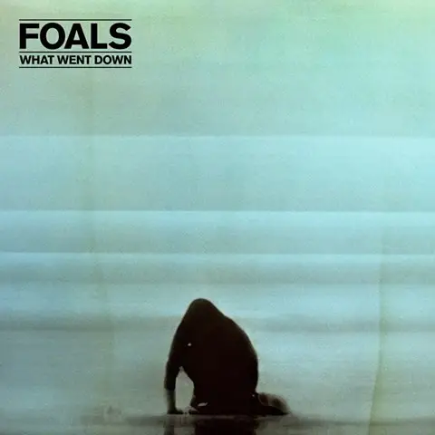 Foals – What Went Down - фото №1