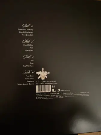 Kings Of Leon - Aha Shake Heartbreak (2 пластинки, Раскладная обложка, 180 грамм, Альбом) - фото №2