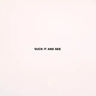 Suck It And See