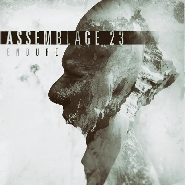 Assemblage 23 - Endure (Альбом)