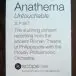 Anathema - Untouchable (2 платівки) - фото №3