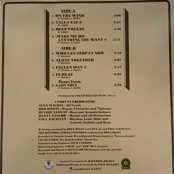 A Foot In Coldwater - A Foot In Coldwater (Gatefold, Clear, Cream, LP, Album, Remastered, Stereo) - фото №6