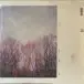 American Football - American Football  (2 пластинки, Раскладная обложка, 45 об/мин, Альбом, Deluxe издание, Лимитированое, Переиздание, Ремастеринг) - фото №4