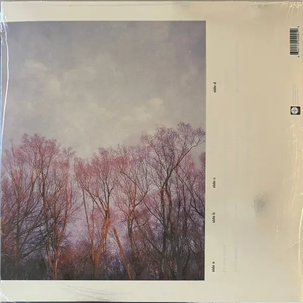 American Football - American Football  (2 пластинки, Раскладная обложка, 45 об/мин, Альбом, Deluxe издание, Лимитированое, Переиздание, Ремастеринг) - фото №4