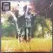 Animal Collective - Meeting Of The Waters (33 ⅓ об/мин, EP, Record Store Day, Лимитированое) - фото №1