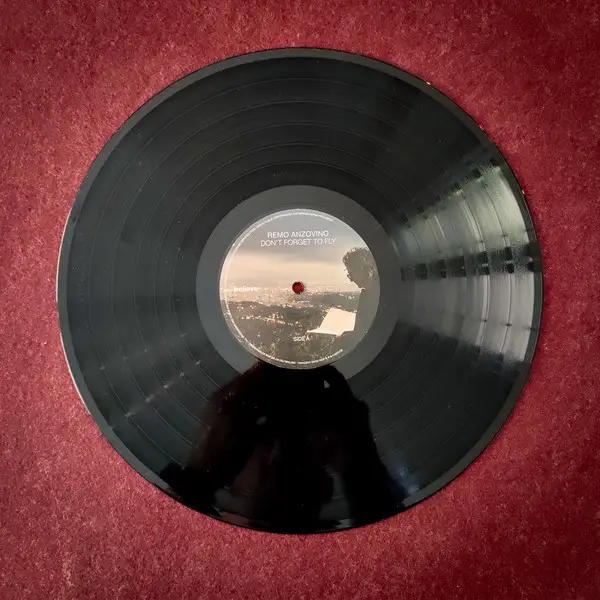 Remo Anzovino - Don't Forget To Fly - фото №3