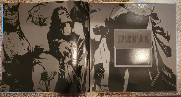 Guns N' Roses - Use Your Illusion I & II (12 платівок, Збірник, Deluxe видання, Лимітоване, Перевидання, Ремастеринг) - фото №91