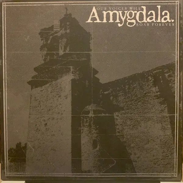 Amygdala - Our Voices Will Soar Forever (Чёрный, Красный, Сплит, Альбом)