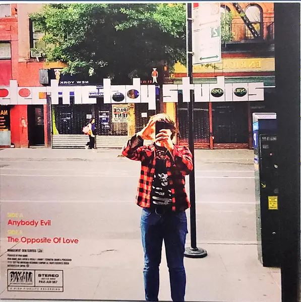 Ryan Adams - Big Colors (2 пластинки, Red, LP, Album) - фото №9