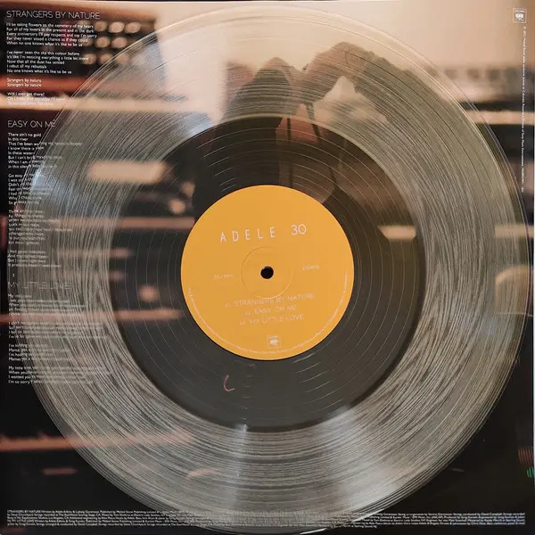 Adele - 30 (2 платівки, Clear, LP, Album, Stereo) - фото №12