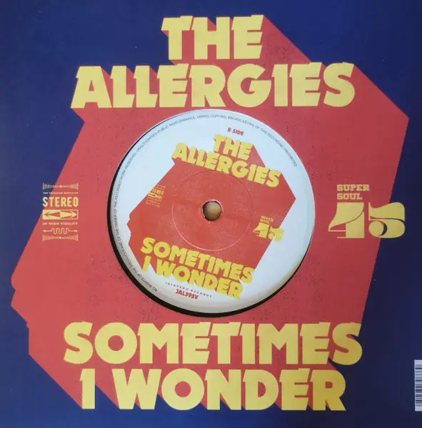 The Allergies - Mash Up The Sound - фото №2