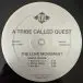 A Tribe Called Quest - The Love Movement (3 пластинки, LP, Album, Reissue) - фото №11