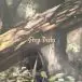 The Acacia Strain - Step Into The Light (Black, Orange, LP, Album, Etched) - фото №4