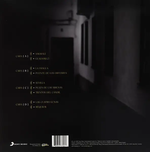 Vicente Amigo - Memoria De Los Sentidos (2 пластинки, Раскладная обложка, Альбом) - фото №2