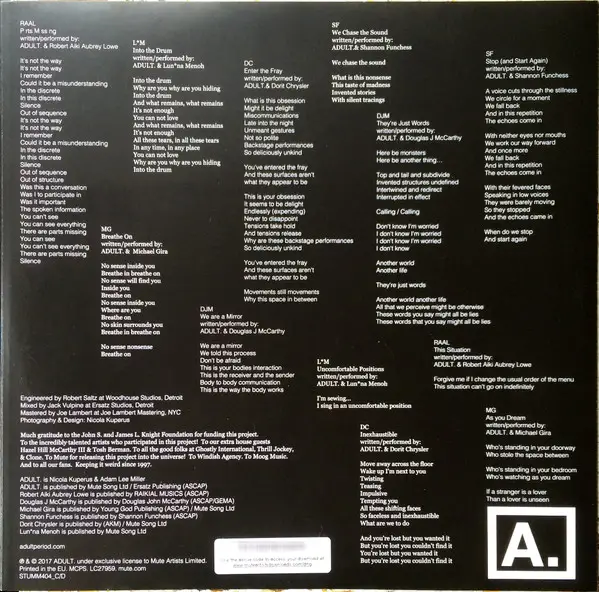 ADULT. - Detroit House Guests (2 пластинки, LP, Album) - фото №7